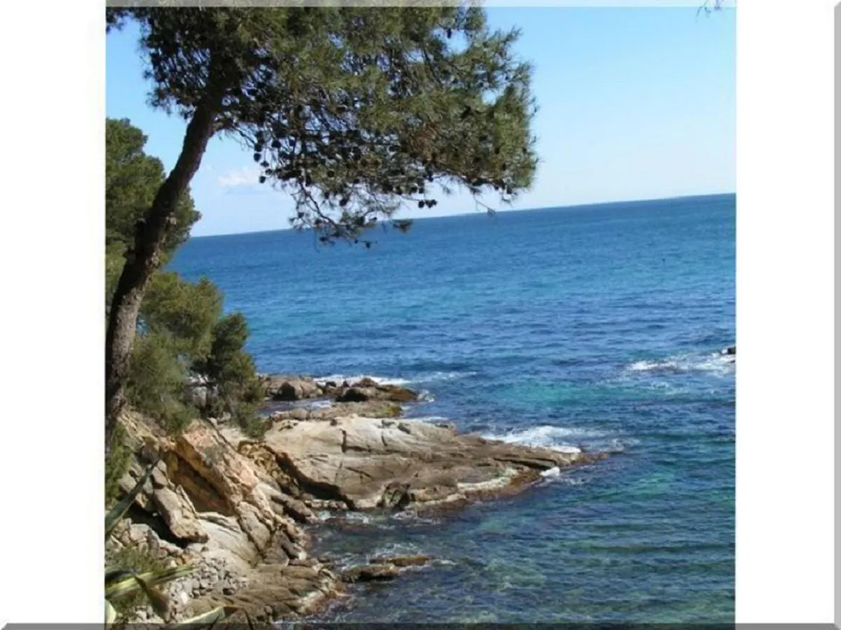 Villa For Eight Guests San Ciprian dels Alls