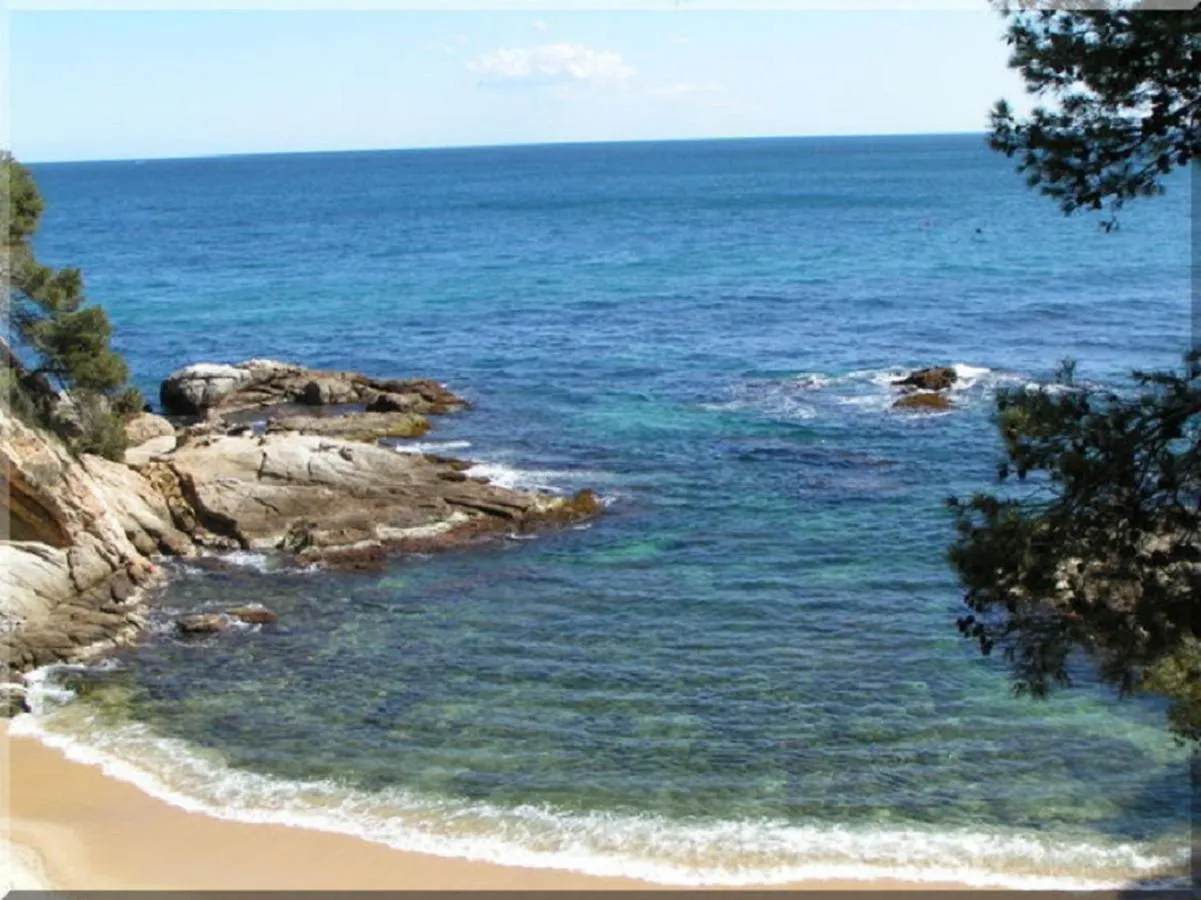 Villa For Eight Guests San Ciprian dels Alls